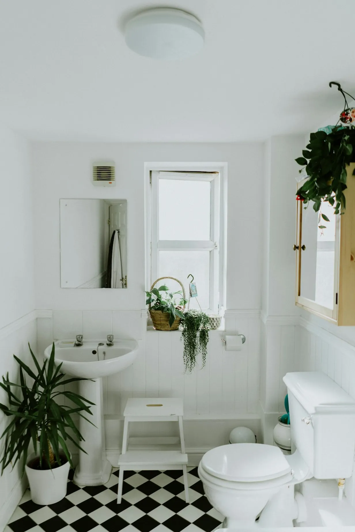 Maximizing Space and Functionality in Small Bathrooms and KitchensIllustration